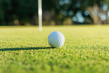 芝生が綺麗なゴルフ場のグリーン