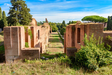 Baths of Caracalla (Terme di Caracalla) ruins in Rome, Italy