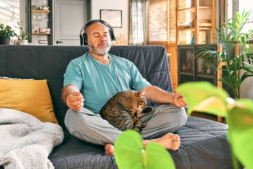 Mature middle-aged overweight man in wireless headphones relaxing at home with his cat and guided meditation, listening to relaxing music on smartphone and meditating in lotus pose.