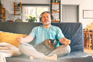 Mature middle-aged overweight man in wireless headphones relaxing at home with his cat and guided...