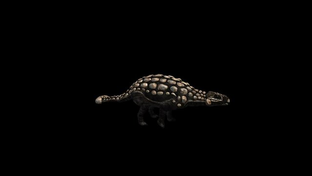 Ankylosaurus Dinosaur Transparent Alpha Animation