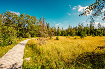 Mountain landscape in Slovakia mountains, Juranova dolina - valley in The Western Tatras national park, oravice, Orava region. Educational trail through the bog © Zedspider