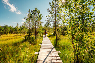 Mountain landscape in Slovakia mountains, Juranova dolina - valley in The Western Tatras national park, oravice, Orava region. Educational trail through the bog © Zedspider
