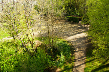 Fototapeta na wymiar Natural park in spring, stream, paths, green grass, young leaves, flowers, nettle, fern, texture.