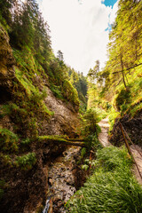 Mountain landscape in mountains, Juranova dolina - valley in The Western Tatras national park. Slovakia, oravice, Orava region. © Zedspider