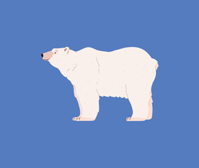 Polar bear standing, cartoon flat vector illustration isolated on blue background.