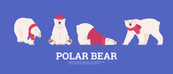 Set of polar bears in different poses flat style, vector illustration
