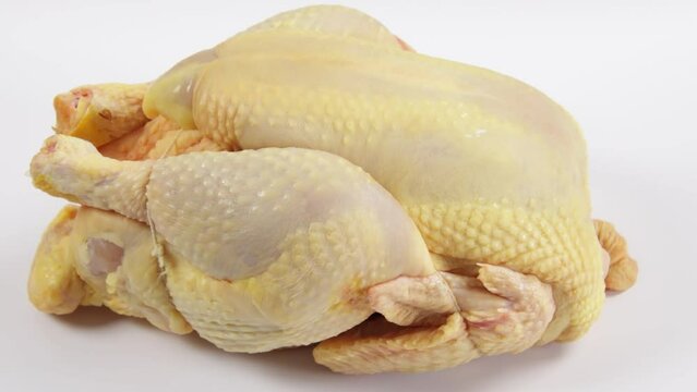 chapon en gros plan, isol&eacute; sur un fond blanc	