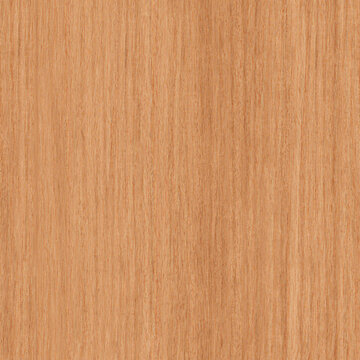 Wood Texture