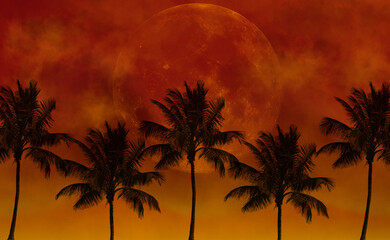 sunset background with coconut trees