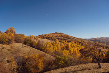 beautiful autumn landscapes in the Romanian mountains, Fantanele village area, Sibiu county, Cindrel mountains, Romania