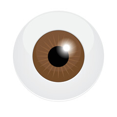 Brown human eyeball isolated on a white background