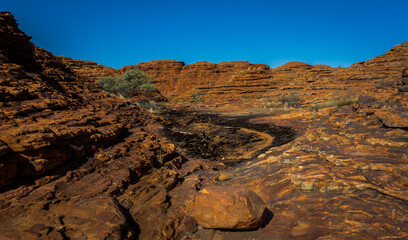 surrounded by red stones 