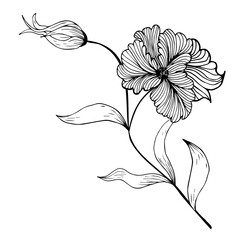 Floral composition, floral background with tender flowers and branches of buds. Hand drawing. For stylized decor, invitations, cards, posters, flyers, for printing on fabric and paper, for backgrounds