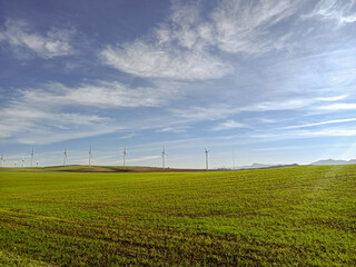 Fototapeta na wymiar Sunny landscape with wind turbines. Ecological wind energy by generators in nature