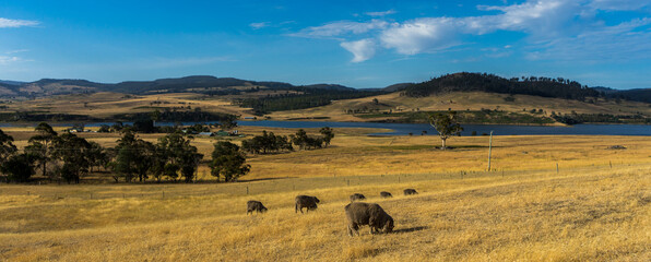 in the heart of tasmania