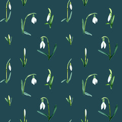 Seamless pattern with snowdrops. Watercolor illustration isolated on green background