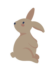 rabbit icon isolated