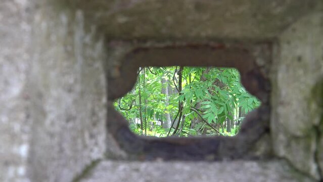 View through shooting manhole to the forest. Terrain observation looking through an ancient concrete construction fortification - a small opening through which fire a machine gunner.