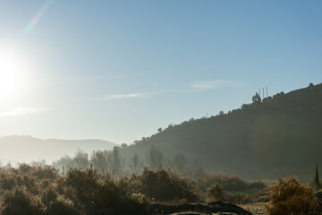Misty morning in the forest in the village. Setif, Algeria.