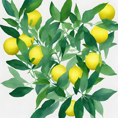 lemon tree branch watercolor