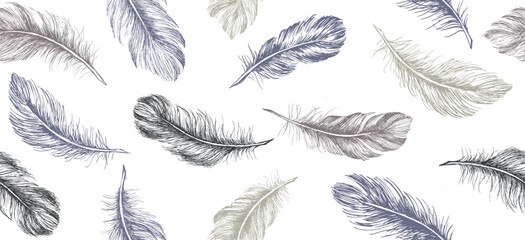 Hand drawn feather on white background	
 - obrazy, fototapety, plakaty