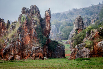 búfalo © alsazh