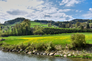 Mainburg, Pielach, Pielachtal, Voralpenland, Hofstetten, Grünau, Hofstetten-Grünau, Frühling, Jahreszeit, Frühlingswiese, Blumenwiese, Löwenzahn, Sommer, Hügel, Hügelland, Landwirtschaft, landwirtscha