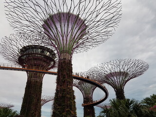 Fototapeta na wymiar OCBC Skyway, Garden by the bay, Singapore