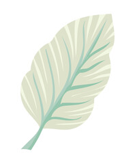 leaf icon isolated