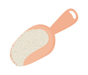 rice in a spoon