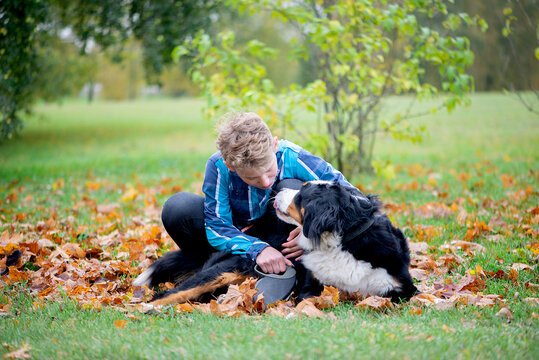 Outdoor portrait of boy with bernese mountain dog in autumn. Friendship of teenager with pet.