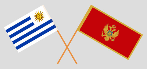 Crossed flags of Uruguay and Montenegro. Official colors. Correct proportion