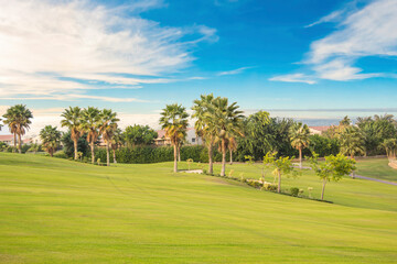 Beautiful view of the green lawn in Sheikh Zayed, Egypt