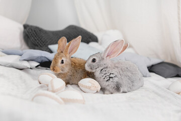 Naklejka premium Rabbits on a pillow with eggs