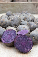 Truffle potato vitelotte, blue violet potatoes (Solanum tuberosum 'Vitelotte')