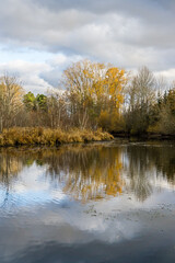 Fall Arboretum Inlet 4