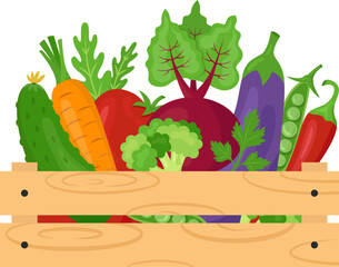 Wooden crate with fresh organic vegetables. Farmer's market, healthy eating or vegan food themes. Beet, tomato, eggplant, cucumber, carrot, broccoli, pea, parsley. Vector isolated illustration.