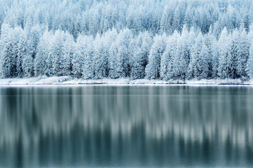 Winter forest covered with frost, reflected in the river. AI