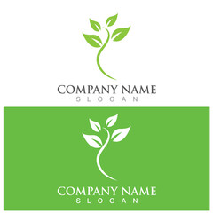 leaf ecology  icon vector illustration template design