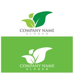 leaf ecology  icon vector illustration template design