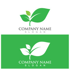 leaf ecology  icon vector illustration template design