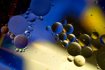 Abstract circles of oil on the surface of water.