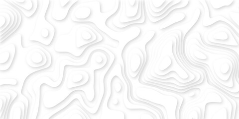 Abstract 3d wavy line white paper cut background.realistic papercut decoration textured with wavy layers.3d Topographic canyon geometric map relief texture with curved layers and shadow.