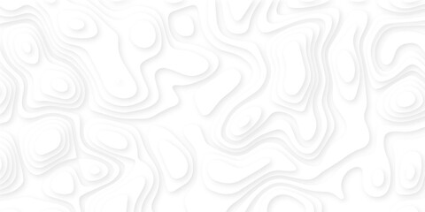 Abstract 3d wavy line white paper cut background.realistic papercut decoration textured with wavy layers.3d Topographic canyon geometric map relief texture with curved layers and shadow.