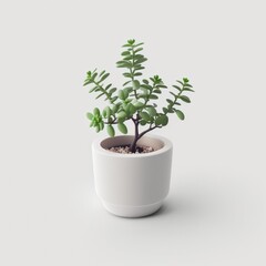 green plant in white pot studio photography on white background