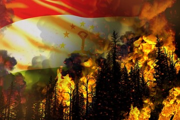 Forest fire natural disaster concept - infernal fire in the trees on Tajikistan flag background - 3D illustration of nature