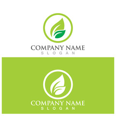 leaf ecology  icon vector illustration template design