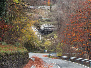 Road in the mountains in autumn