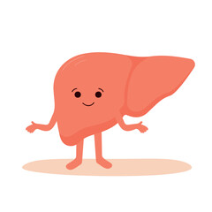 Love Your Liver Awareness Month. Healthy happy and smiling liver .Vector illustration in flat and cartoon style